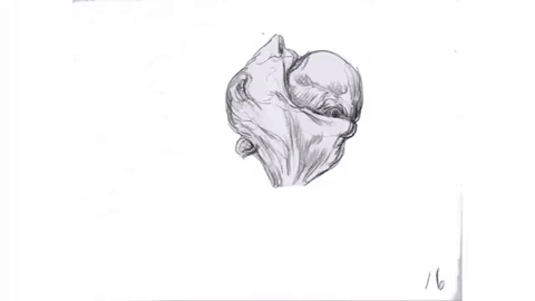 alex boya animation studio GIF by Alex Boya