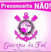 Copa Do Brasil Gay GIF