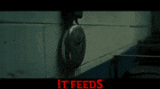 Ashley Greene Bell GIF by Signature Entertainment