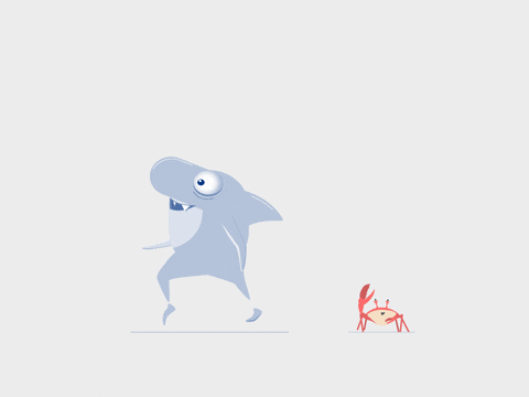 Shark Week Animation GIF by Olle Engstrom