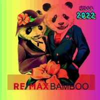 GIF by remaxbamboo