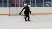 Hockey Arc GIF by All-Round Champion
