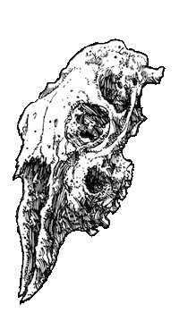 jotrape sticker skull punk bw Sticker