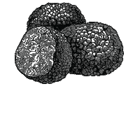 Cocottebkk meat steak steakhouse truffle Sticker