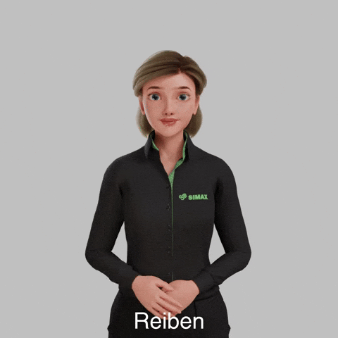Avatar Gebärdensprache GIF by Sign Time - SiMAX
