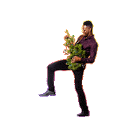 Celebrate Christmas Tree Sticker by Eight X