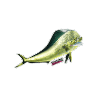 Fishing Tackle Fish Sticker by AFW Fishing Brands
