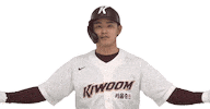 키움히어로즈 Sticker by Kiwoom Heroes Baseball Club