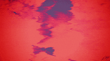 spice channel GIF