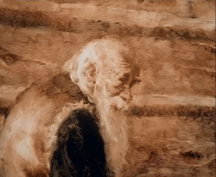 GIF by tomcjbrown