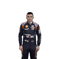Victory Breen Sticker by Hyundai Motorsport