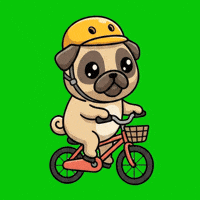 Mountain Bike Dog GIF by Pugs