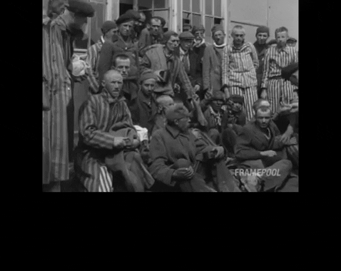 spsweeney91 giphygifmaker freedom us army dachau GIF