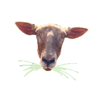 Vegan Eating Sticker