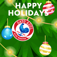 Merry Christmas GIF by Gayo Azul