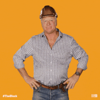 Channel 9 Shrug GIF by The Block