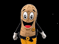 fselrincon celebration celebrate winner champion GIF