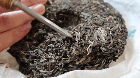 how to brew pu erh tea GIF