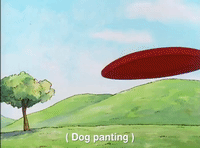 nicksplat GIF