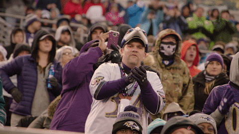 Happy National Football League GIF by Baltimore Ravens