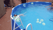 Pool Swimming GIF