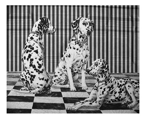 dog hypnosis GIF by irgum