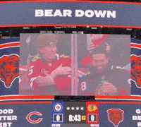 Chicago Blackhawks GIF