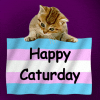 Lgbt Happy Saturday GIF