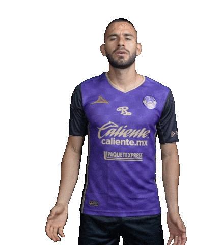 Liga Mx Jorge Sticker by Mazatlán F.C.