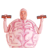 MetodoSuperaOficial cérebro método supera cérebro método supera gifs Sticker