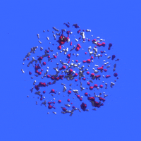 Art Grow GIF by xponentialdesign