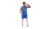 Liga Endesa Basketball Sticker by ACB