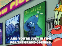 season 6 penny foolish GIF by SpongeBob SquarePants