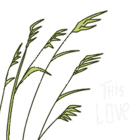 Taylor Swift Love Sticker by Espelho