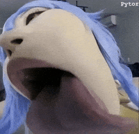 Pytor GIF