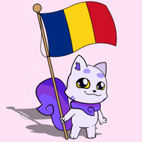 Cluj-Napoca Flag GIF by Lucky Kat Studios