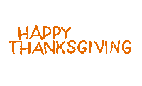 Black Friday Fun Sticker by megan lockhart