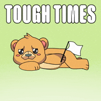 Kabu Friends GIF by Kabu