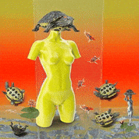 Slow Down Water GIF by The LSD Hotel