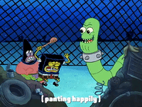 season 4 the lost mattress GIF by SpongeBob SquarePants