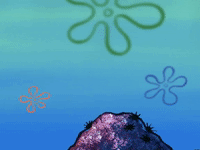 season 6 episode 13 GIF by SpongeBob SquarePants