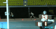 run track GIF by RunnerSpace.com