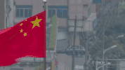 shang hai GIF