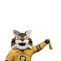 Cat Fun Sticker by Quinnipiac University