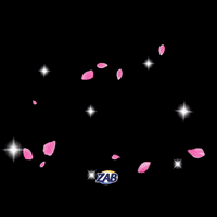 zab_oficial  GIF