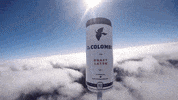 GIF by Oat Foundry