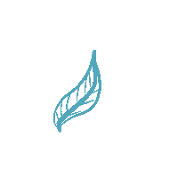 Leaf Sticker