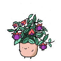 Snow Flower Sticker