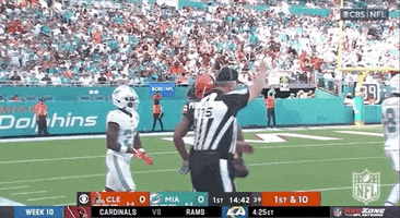 Cleveland Browns Football GIF by NFL