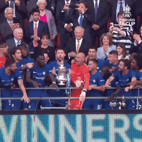 Fa Cup Yes GIF by Emirates FA Cup